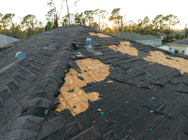 Best Roofing for New Construction  in St Augusta, MN
